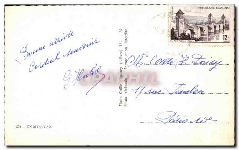 Postcard Modern Morvan Breeding Sheep