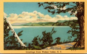 New York Adirondacks Greetings From Walker Valley Dexter Press