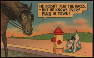 dog postcard: He Doesn't Play the Races But