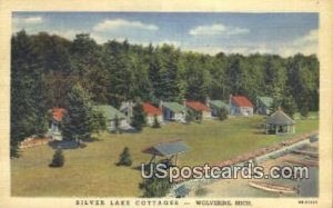 Silver Lake Cottages in Wolverine, Michigan