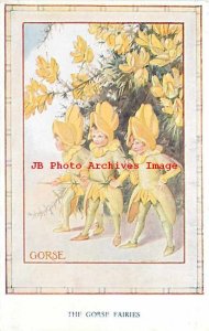 Margaret Tarrant, Medici Society No 161, Gorse, Fairies with Yellow Flowers
