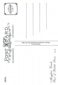 Odol Tooth Paste advertising poster postcard