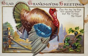 Turkey Thanksgiving Greetings Embossed Postcard