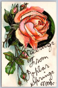 K25/ Poplar Springs Maryland Postcard c1910 Greetings from 262