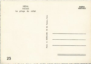 PC NEPAL, PATAN, LE PILAGE DU MILLET, Vintage Postcard (b27675)