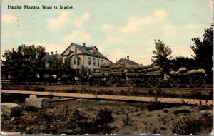 Postcard Hauling Montana Wool to Market~1678