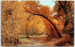 Postcard - Road Thru Fall Fairyland