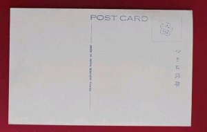 AIRSHIP NIAGARA FALLS US POSTCARD USS Shenandoah ? zeppelin