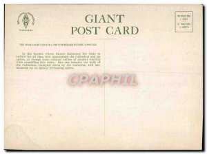 Old Postcard Grand Cathedral Spiers Format Garden of the Gods 20 * 14.5 cm