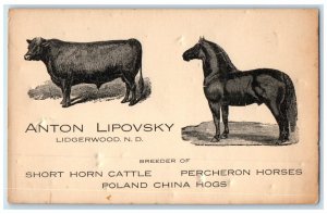 Anton Lipovsky Lidgerwood North Dakota ND Farm Advertising Antique Postcard