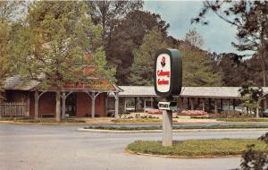 PINE MOUNTAIN GEORGIA CALLOWAY GARDENS LOT OF 3 POSTCARDS c1960s