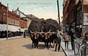 Yarmouth Nova Scotia Canada view of ox team on Main Street antique pc BB1061