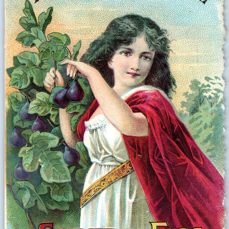 c1890s California Fig Syrup Company Laxative Krebs Litho Partial Trade Card C44