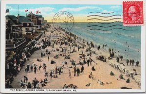 The Beach Looking North Old Orchard Beach Maine Vintage Postcard C089