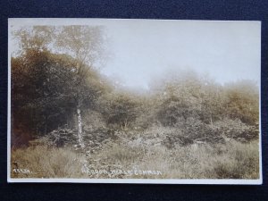 London HARROW WEALD COMMON c1919 RP Postcard