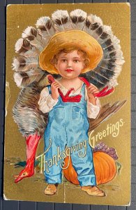 Vintage Victorian Postcard 1909 Thanksgiving Greetings - Farm Boy with Turkey