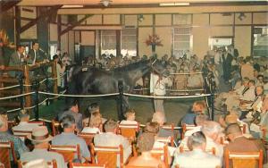 Keenland Race Course 1950s Yearling Sales Lexington Kentucky Tichnor 9837