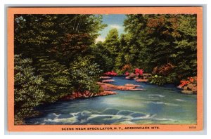 Scene Near Speculator New York NY UNP Linen Postcard S15