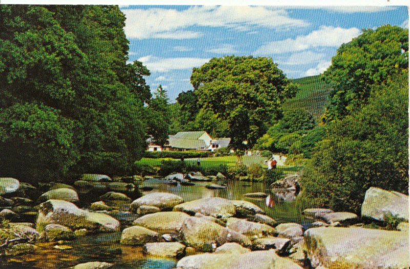 Devon Postcard - Badger´s Holt - Dartmoor - Ref 15688A