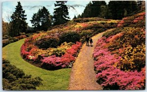 Postcard - Azaleas In Bloom In Washington Park - Portland, Oregon