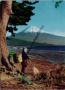 Mt. Fuji Viewed from Miho Beach Japan Postcard PC239