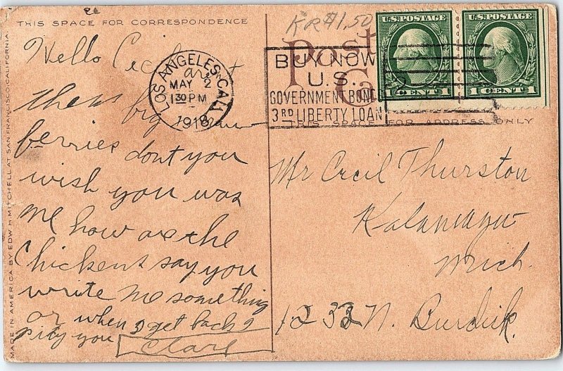 1909 Exaggerated Strawberries, San Francisco, California Postcard P127