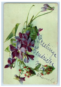 c1910 Blanche, Greetings from Hendricks West Virginia WV Posted Antique Postcard 