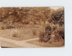 Postcard Nature Trees Trail Landscape Scenery Vintage Picture