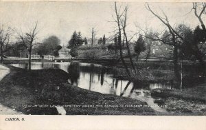 LP11     Canton Ohio McKinley Cemetery  Postcard  