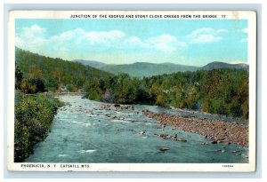 1936 Esopus Stony Clove Creeks Bridge Phoenicia NY, Catskill Mts. Postcard