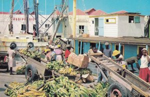 Careenage Banana Boats Carts Bridgetown Rediffusion Barbados Postcard