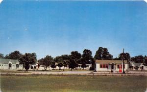 HENDERSON KENTUCKY~STONE'S TOURIST COURT~TEXACO GLOBE GAS PUMPS POSTCARD c1950s