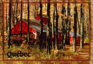 Canada - Quebec. Sugar Shack (Maple Sugaring)