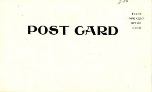 Nathaniel Hawthorne, Author