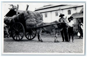 c1950's Java Ox Hay Cart Wagon Indonesia Vintage RPPC Photo Postcard