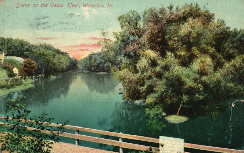 Vintage Postcard 1910 Scene on The Cedar River Waterloo Iowa Sunset Trees Nature