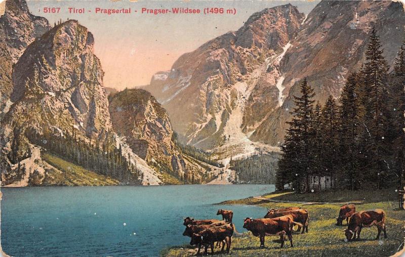 B41129 Tirol Pragsertal Pragser Wildsee  austria