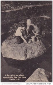 New Hampshire A Boy A Dog And A Brook At The Golden Rule Farm Home Frankin