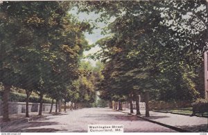 CUMBERLAND , Maryland ,1910; Tree-Lined, Washington Street