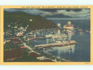 Unused Linen AERIAL VIEW OF TOWN Santa Catalina California CA n3683