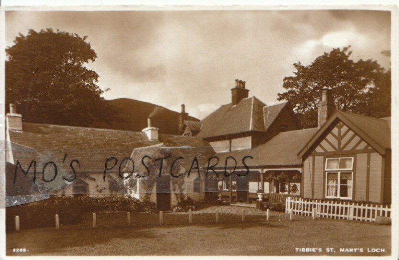 Scotland Postcard - Tibbie's - St Mary's Loch - Selkirkshire - Ref 16087A