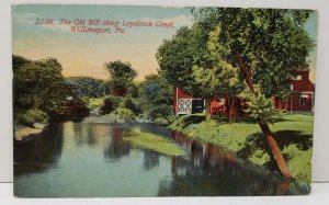 Williamsport Pa, The Old Mill along Loyalsock Creek 1916 Postcard C3