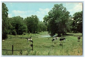 1969 Scenes Delight Traveler Serene Beauty Fort Wayne Indiana IN Posted Postcard