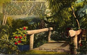 Florida Sarasota Rustic Bridge Sarasota Jungle Gardens 1956 Curteich