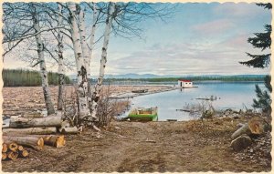 Forming a Log Boom in Early Spring, New England