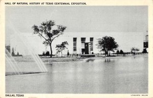 Dallas Texas Centennial Expo Hall of Natural History Vintage Postcard AA33776