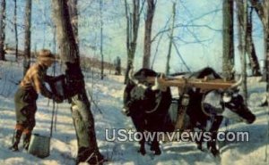 Making Maple Syrup - Misc, Vermont VT  