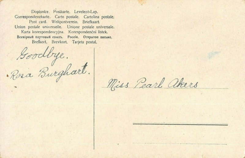 LP21   Catherine Klein Flowers Floral Postcard Artist Signed Pink Yellow Roses 