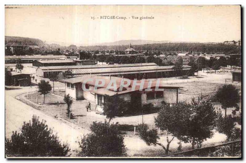 Old Postcard Bitche Camp General view Militaria