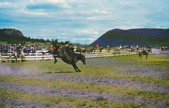 Canada Williams Lake Stampede British Columbia